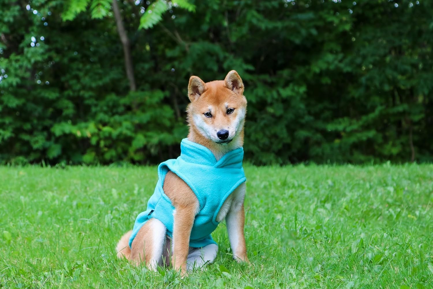 Jacko & Co chaleco polar para perros, ideal para paseos en otoño.
