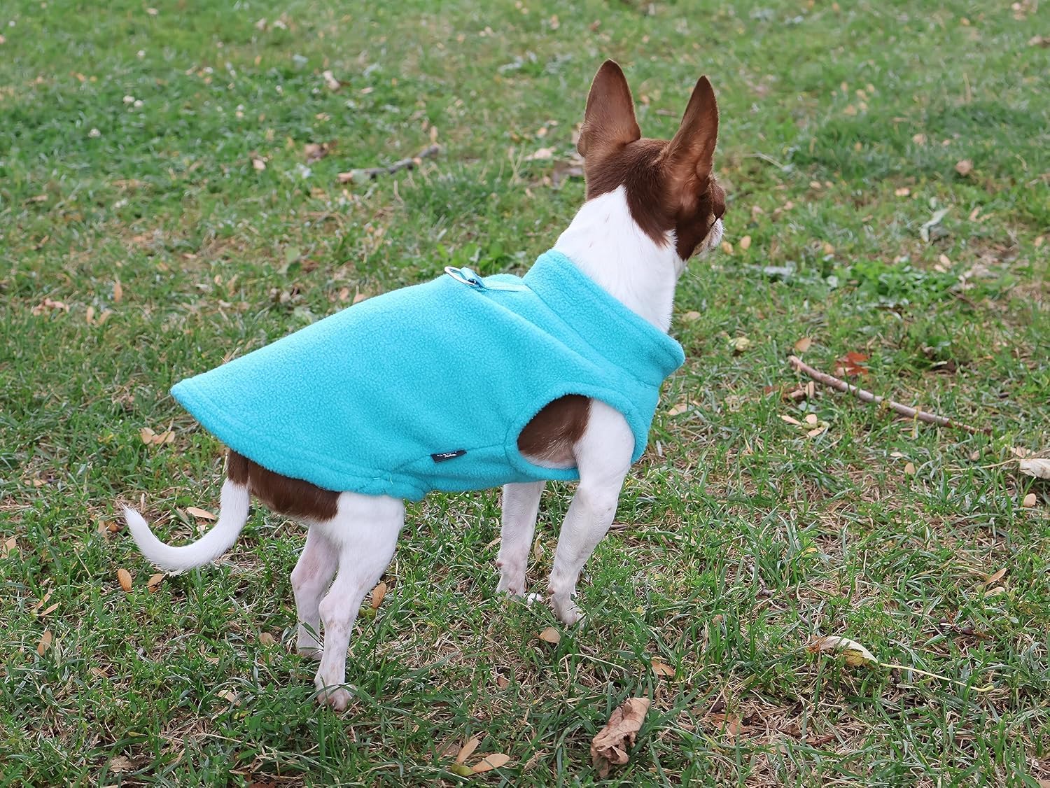 Jacko & Co chaleco polar para perro, tacto suave y peso ligero para uso diario.