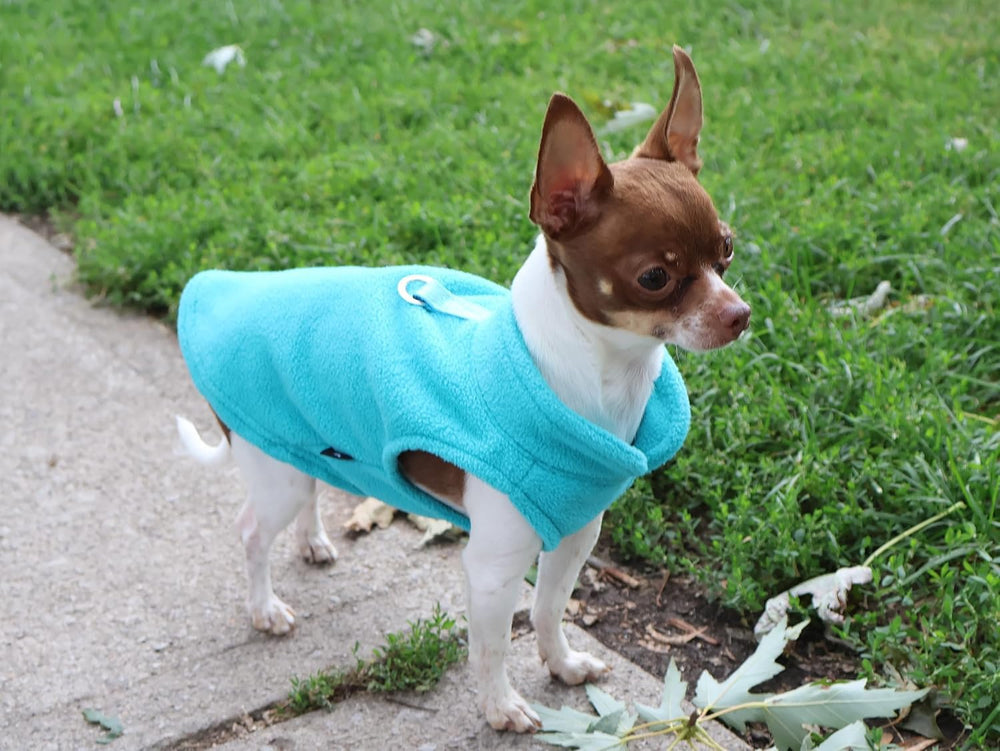 Jacko & Co prenda para mascotas, apta para lavado a mano o a máquina.