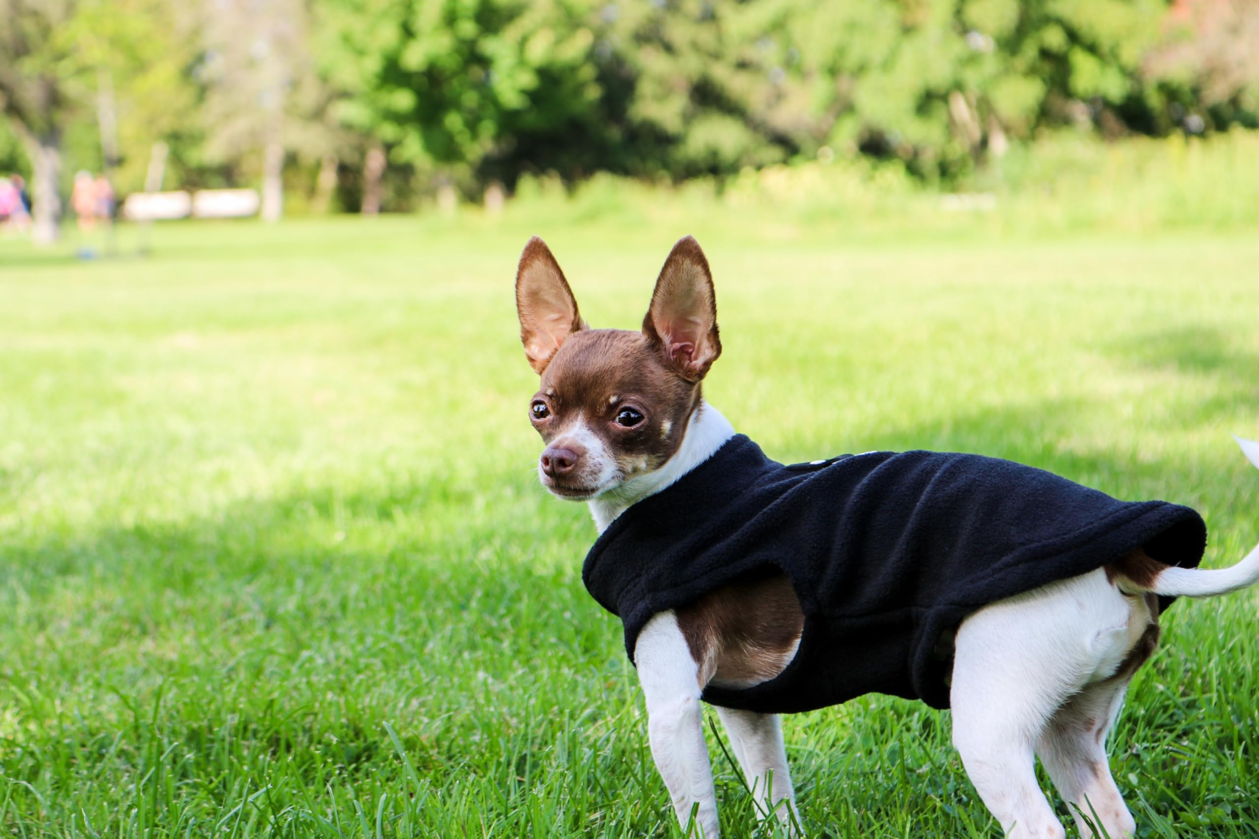 Sudadera polar para mascotas de Jacko & Co, abriga sin irritar la piel