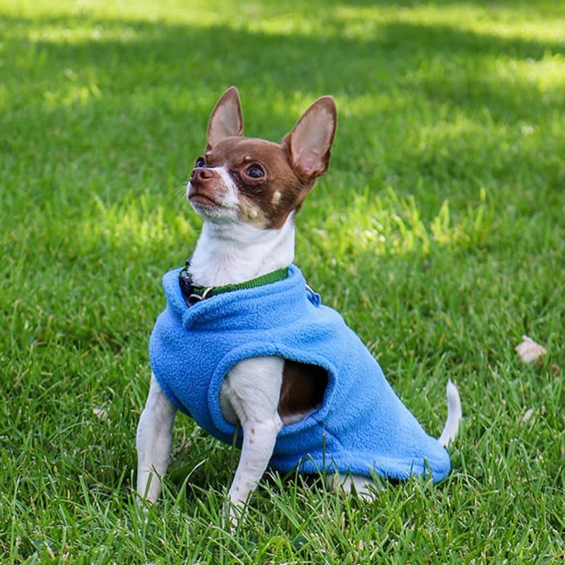 Tallas para mascotas pequeñas y medianas, ajuste cómodo.