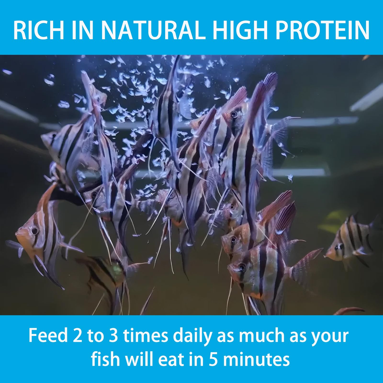 JADINGSFARM Alimento de artemia para peces juveniles en acuarios.