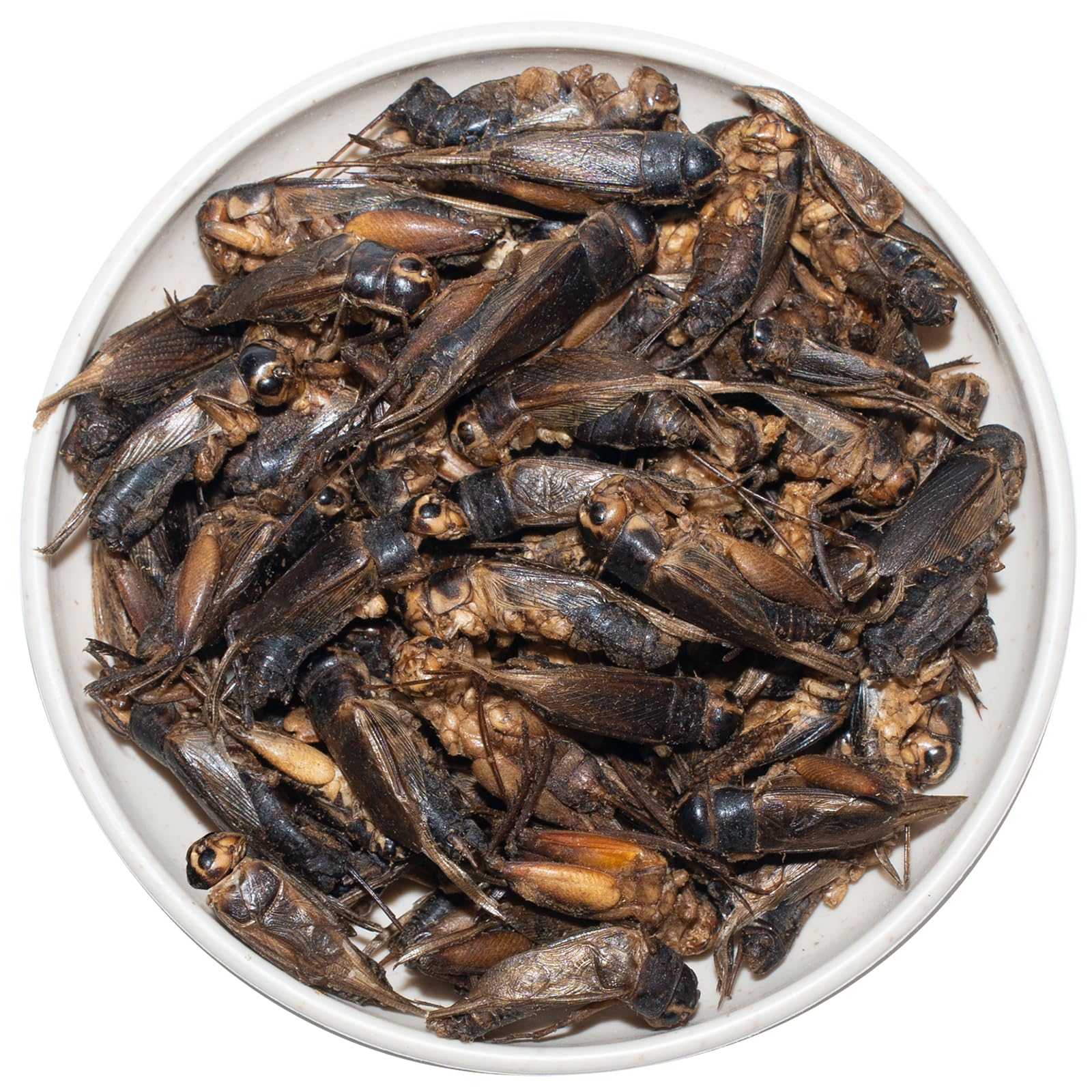 JADINGSFARM complemento para aves y peces en cautiverio