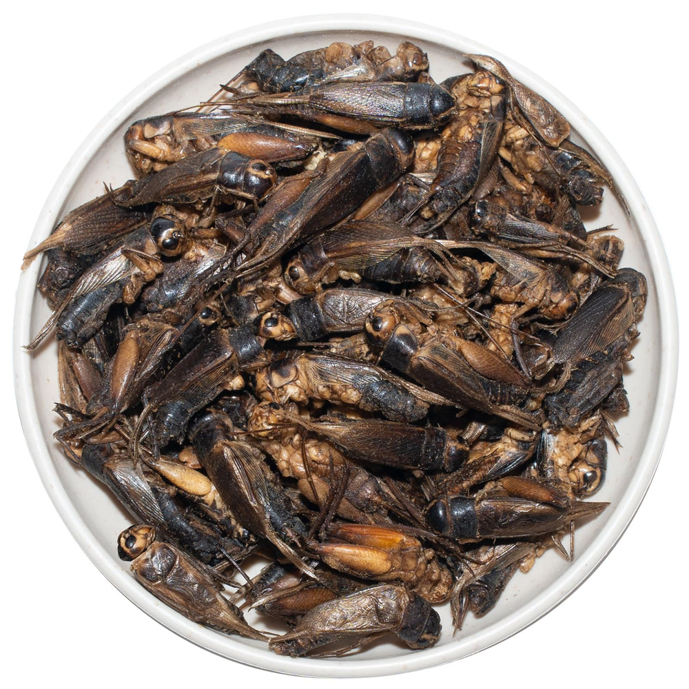 JADINGSFARM complemento para aves y peces en cautiverio