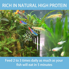 JADINGSFARM Daphnia listo para usar, ideal para alimento directo en acuario