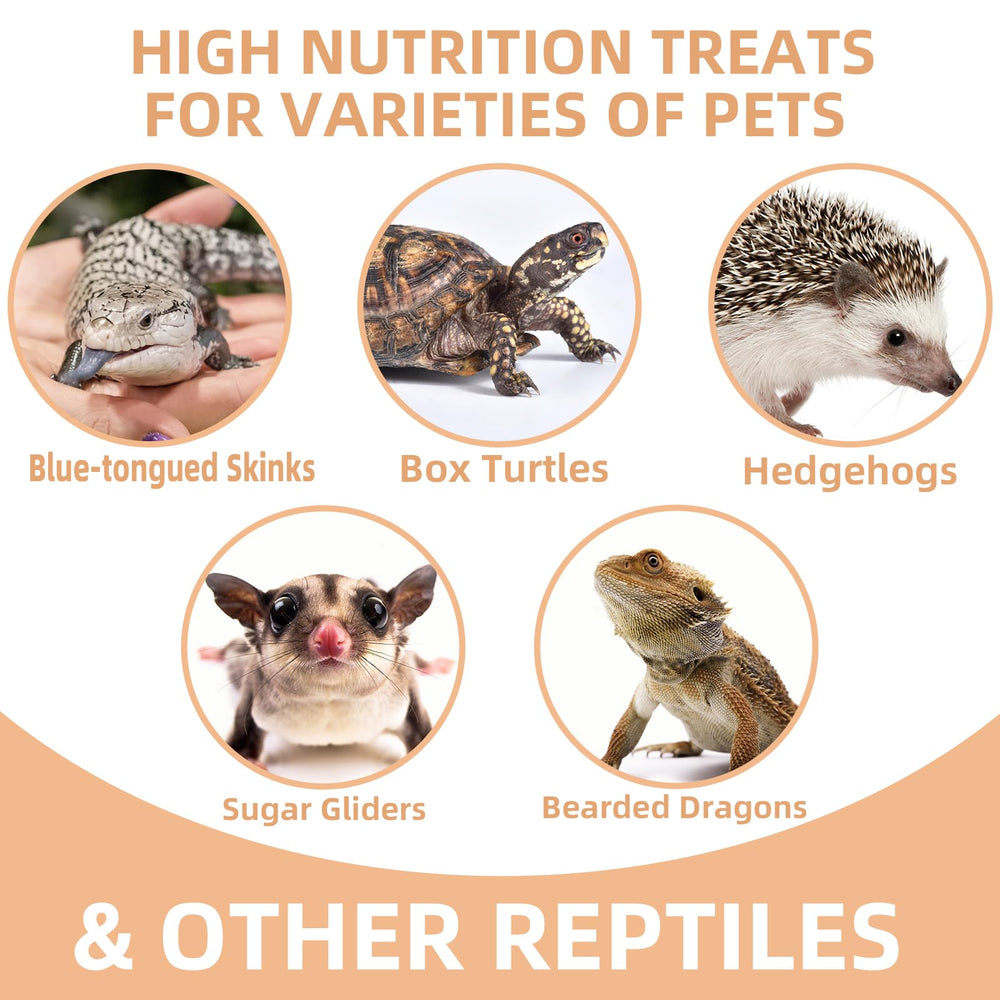 JADINGSFARM grillos liofilizados, alimento diario para reptiles