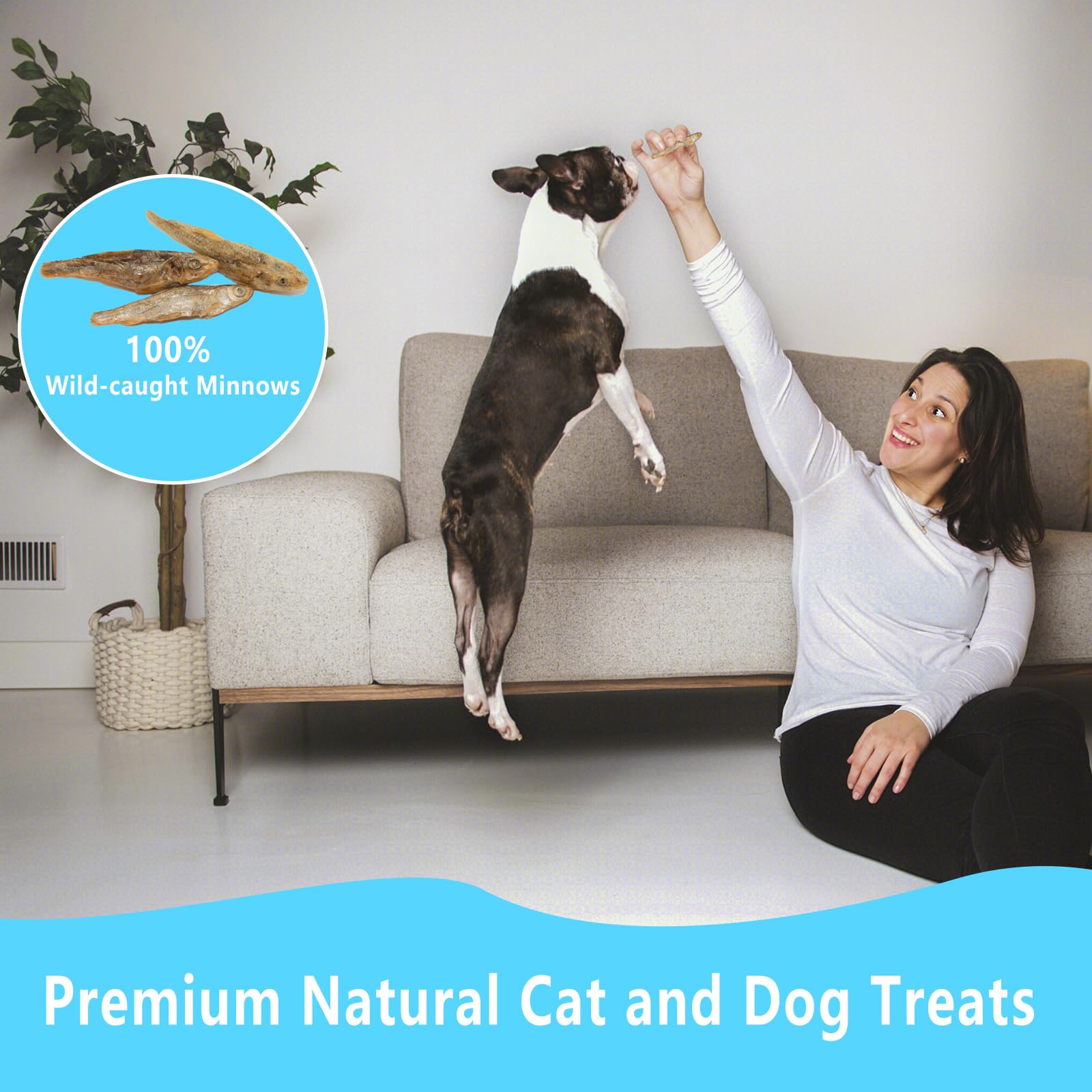JADINGSFARM snack natural para premiar durante el entrenamiento o paseo.