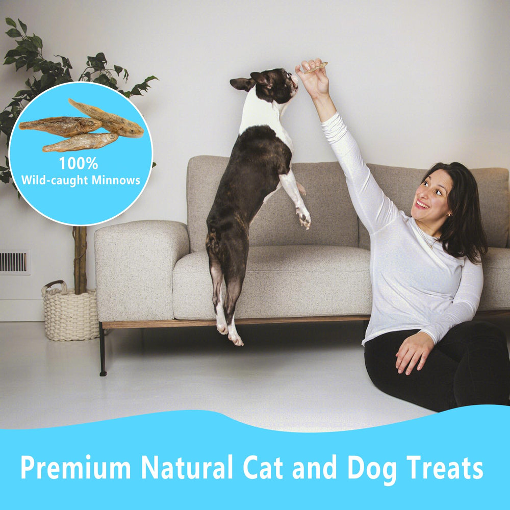 JADINGSFARM snack natural para premiar durante el entrenamiento o paseo.