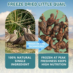 JADINGSFARM trozos de codorniz liofilizados, snack directo para premiar