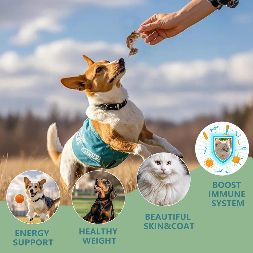 JADINGSFARM uso diario de snack natural para mascota