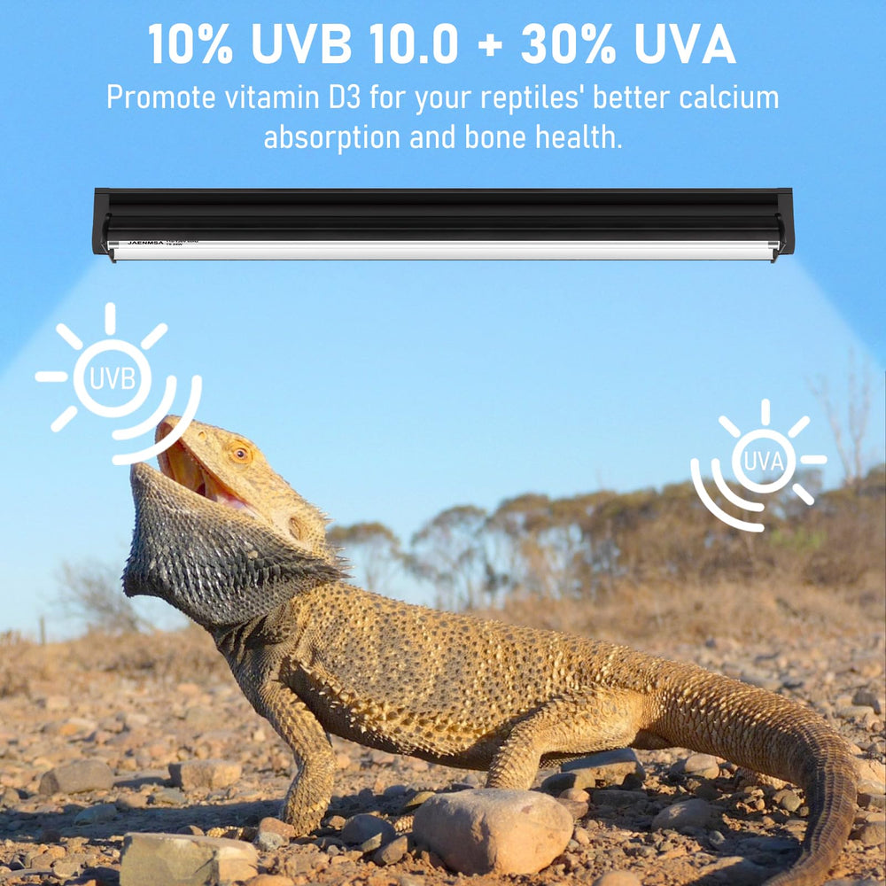 Jaenmsa compatibilidad con reptiles desérticos, ideal para especies con alto requerimiento UVB.