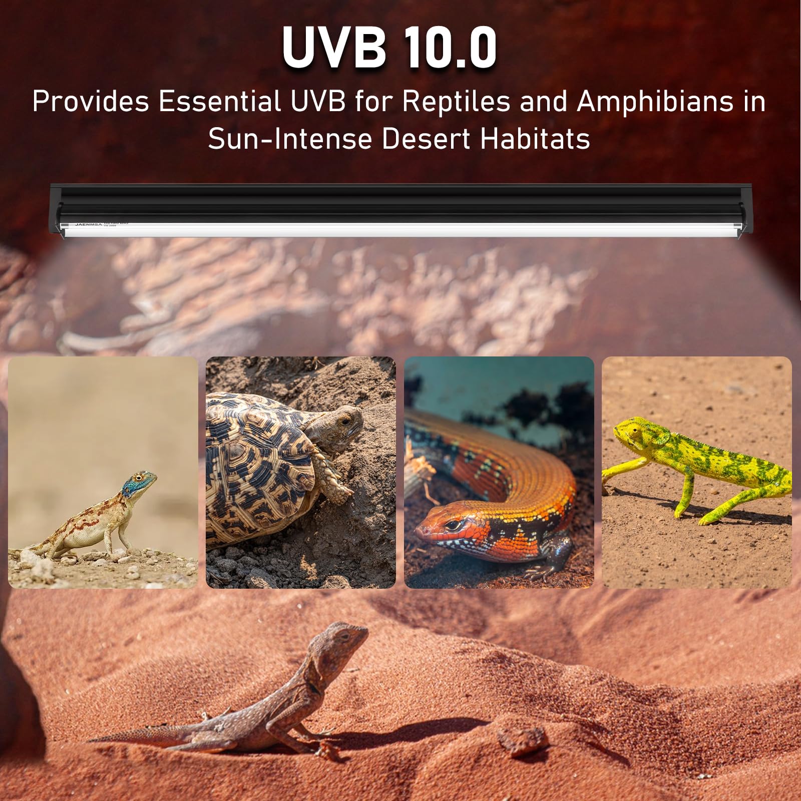 Jaenmsa UVB 10.0 para dragón barbudo mejora la síntesis de vitamina D3.
