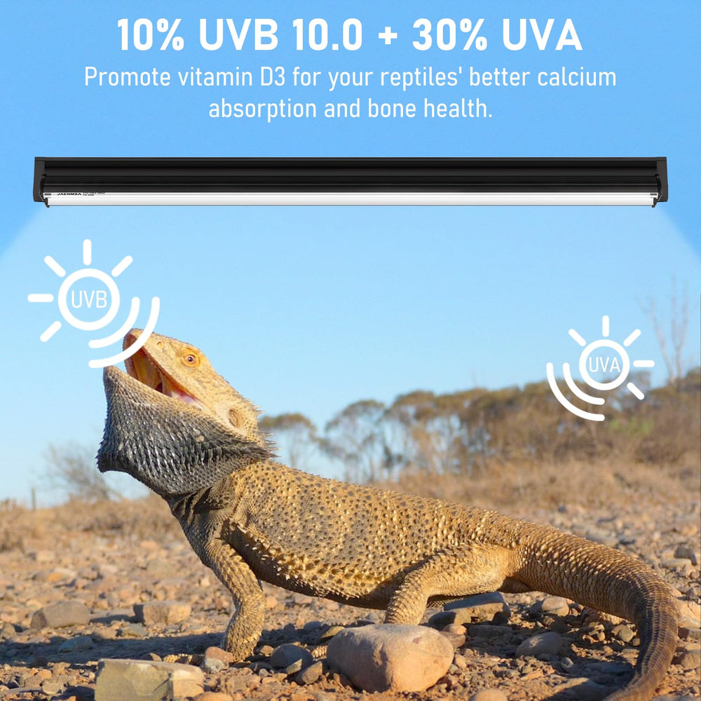 Jaenmsa UVB 10.0 para tortugas fomenta temperaturas adecuadas y actividad diurna.