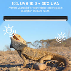 Jaenmsa UVB 10.0 para tortugas fomenta temperaturas adecuadas y actividad diurna.