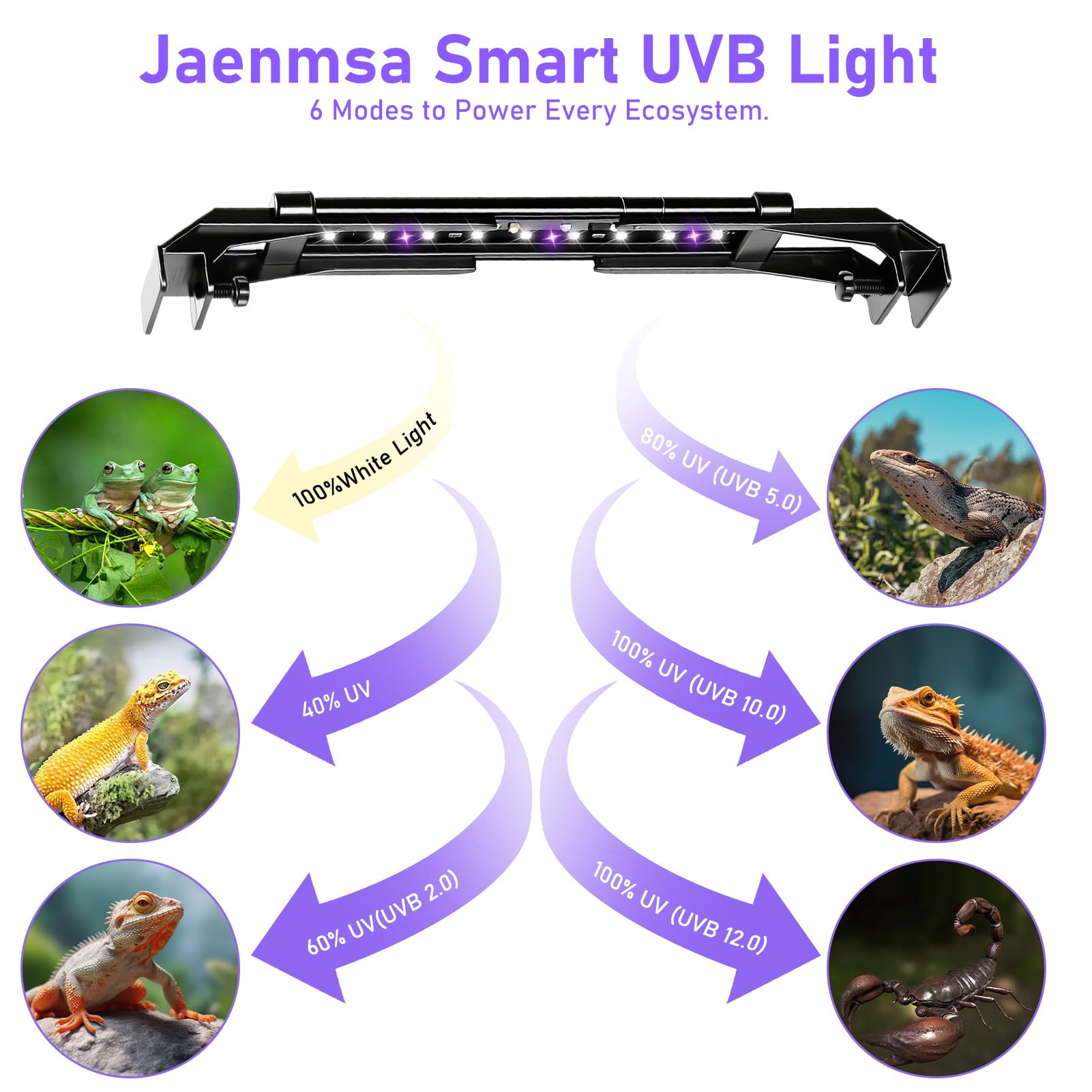 Jaenmsa luz LED 6500K para reptiles, estimula actividad y apetito con UV
