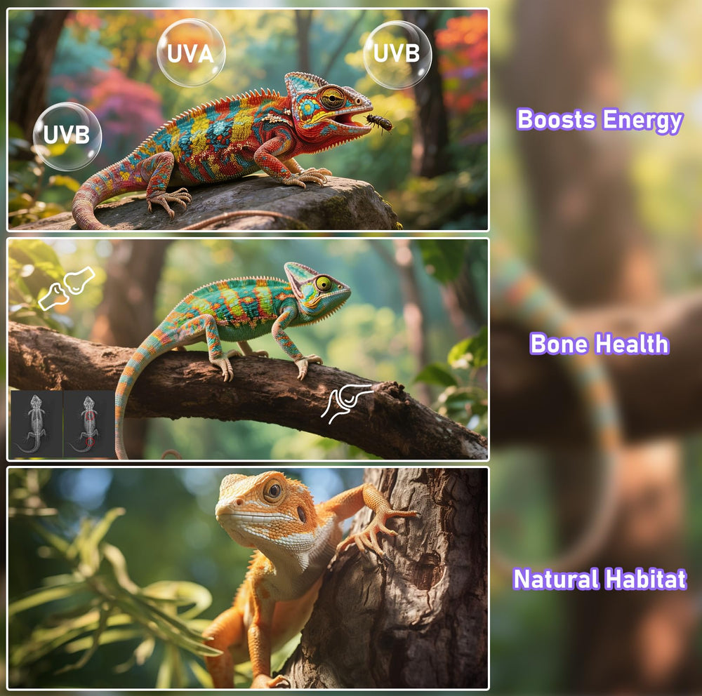 Jaenmsa modos inteligentes M0-M5 permiten días naturales en el terrario
