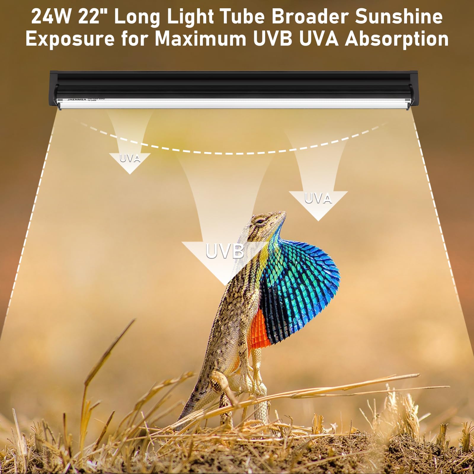 Jaenmsa T5 10.0 UVB para gecko leopardo: luz solar visible para entorno claro