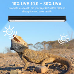 Jaenmsa T5 10.0 UVB para lagartos desérticos: UV distribuido para comportamiento activo al sol