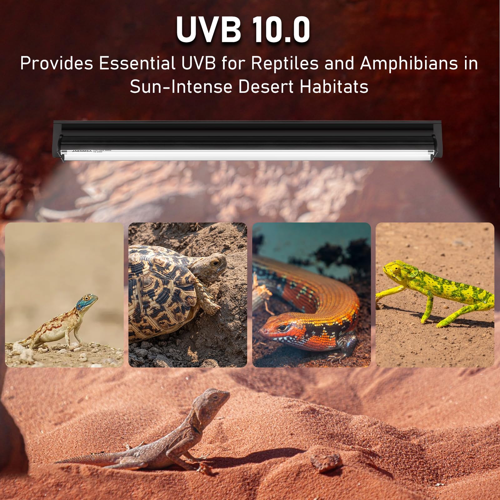 Jaenmsa T5 10.0 UVB para uromastyx: sol suave para terrario desértico