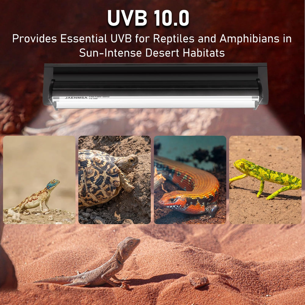 Eficiencia energética de 8W reduce consumo sin perder UVB para reptiles.