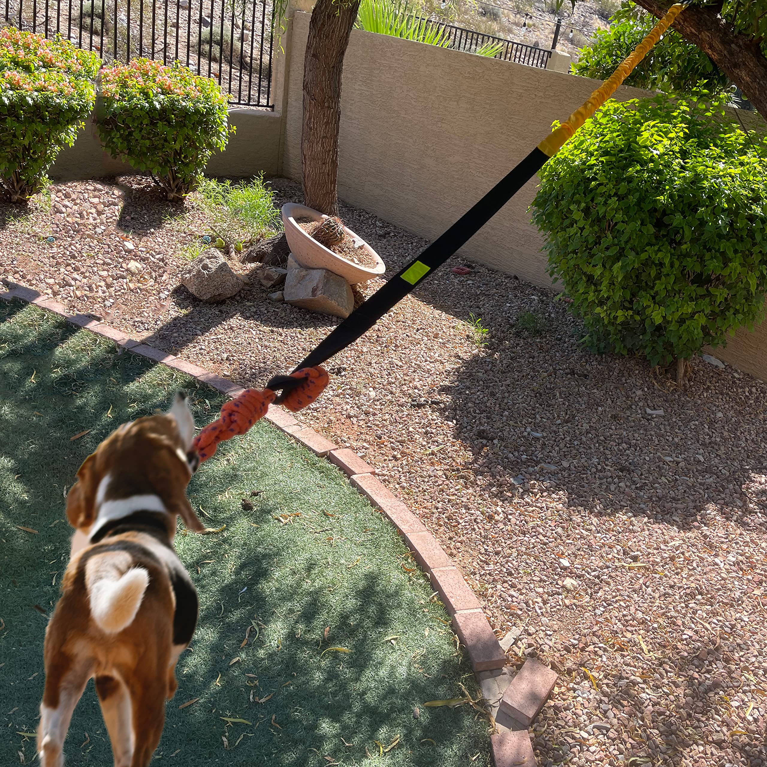 Jalousie cuerda interactiva para mordidas y juego estimulante de perros activos.
