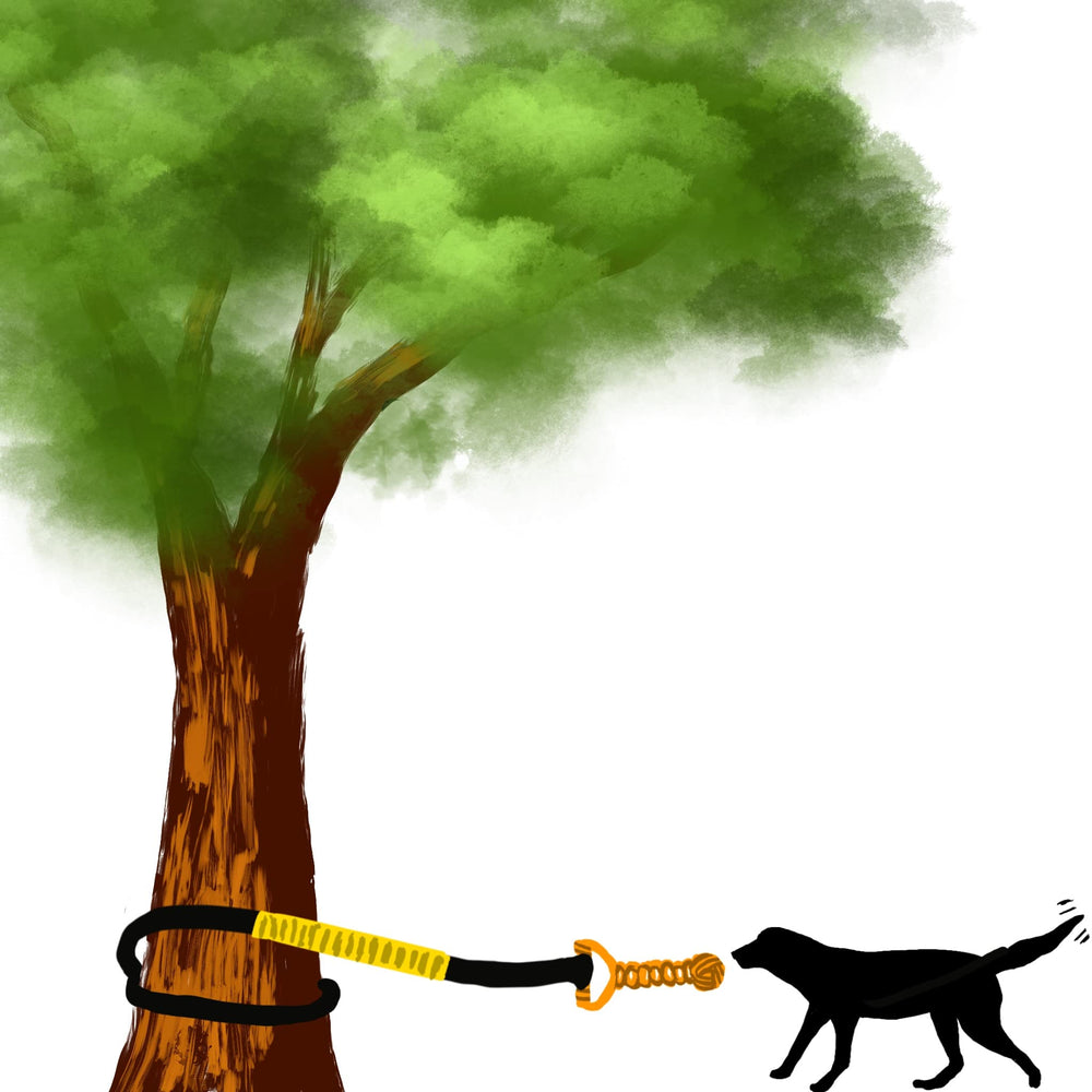 Jalousie sesión de entrenamiento exterior con juguete versátil para perros.