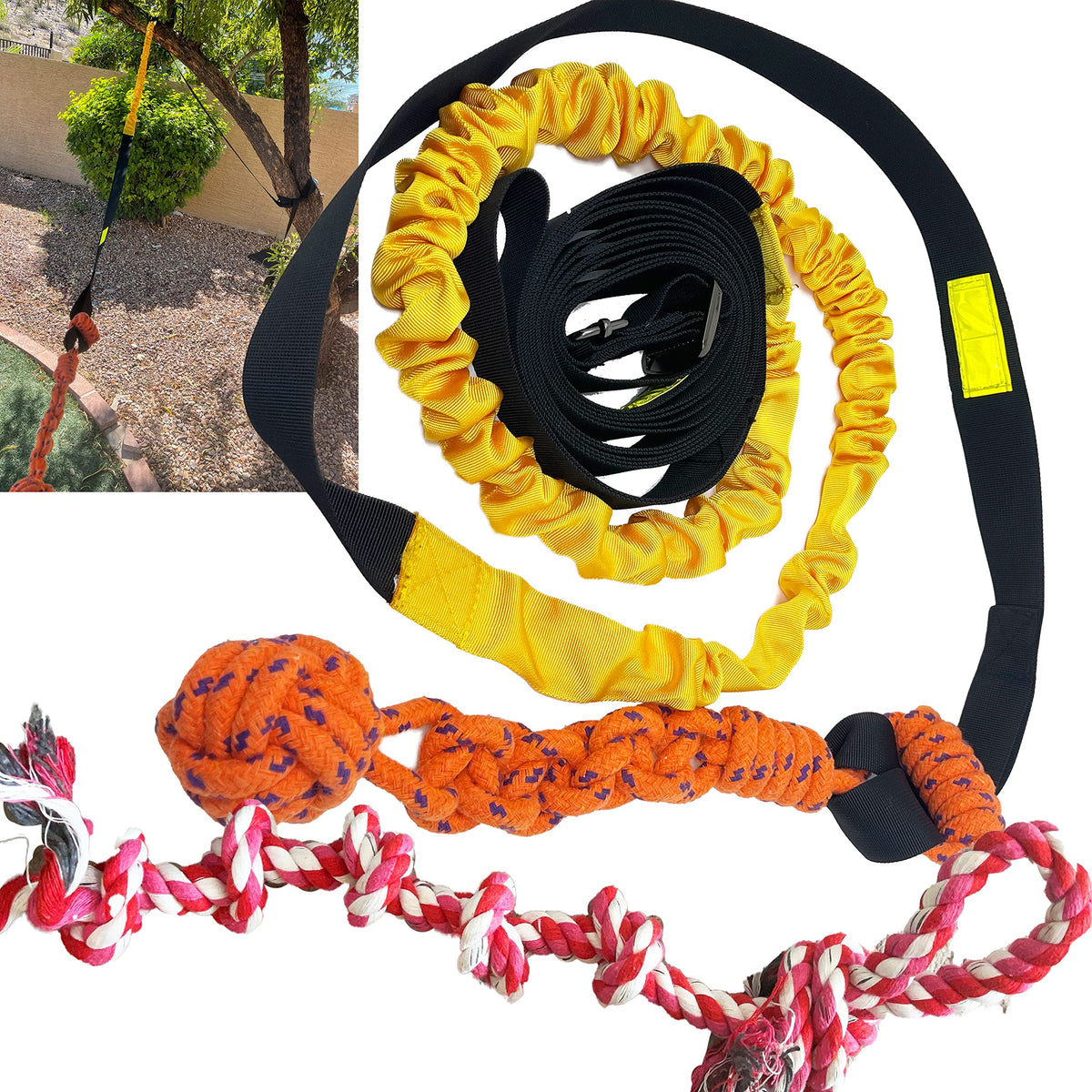 Jalousie juguete cuerda bungee para perros de 20-35 pies, ideal para juego al aire libre.