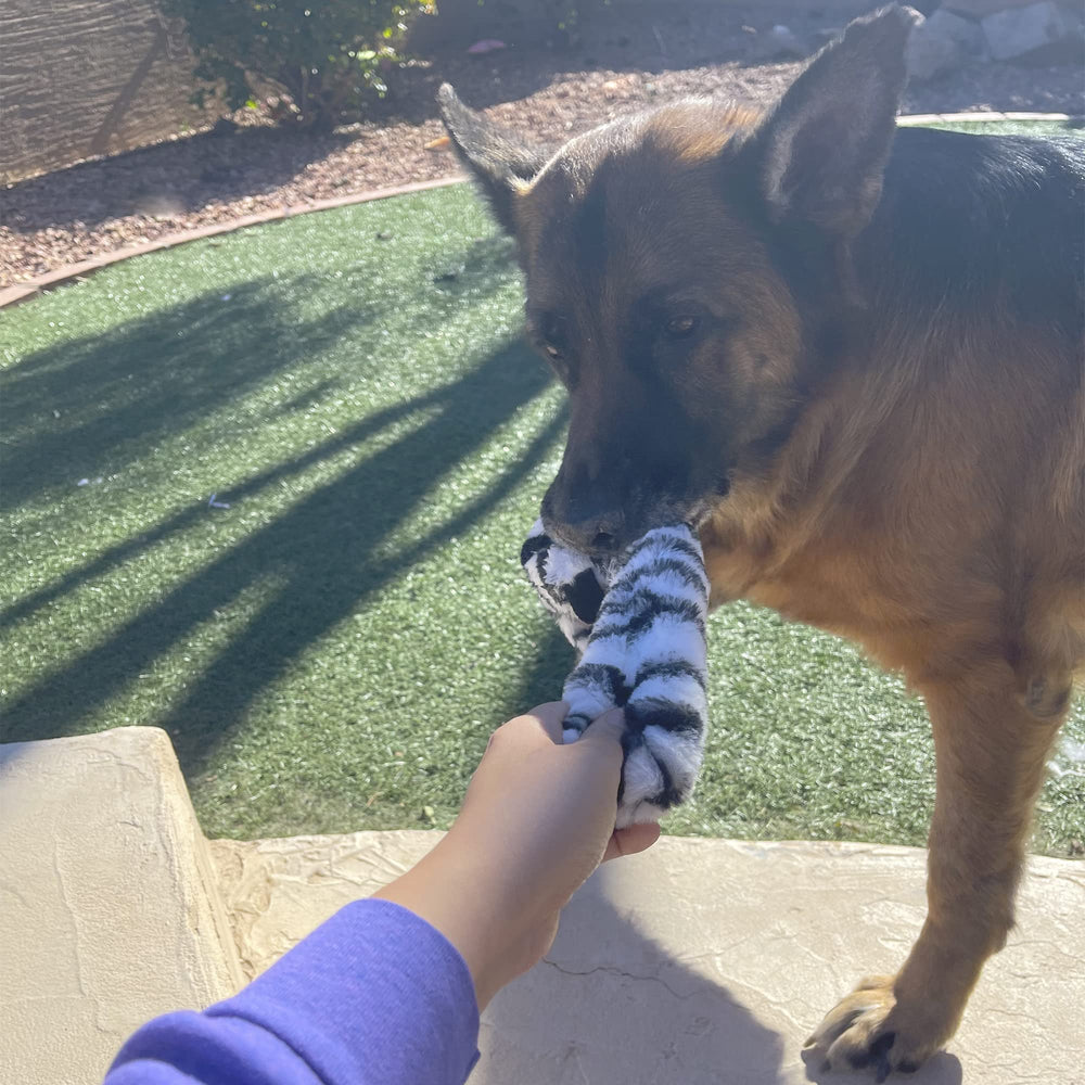 Jalousie juguete para perro actividad divertida y estimulante.