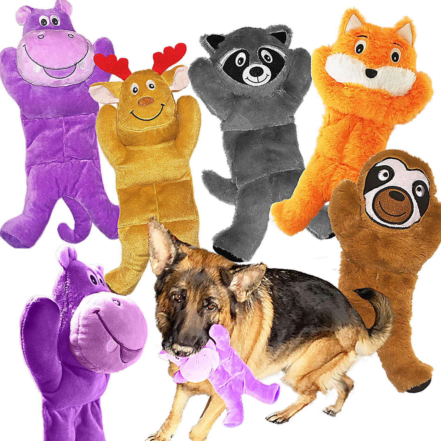 Jalousie mapache: juguete duradero con sonido para perros medianos y grandes.