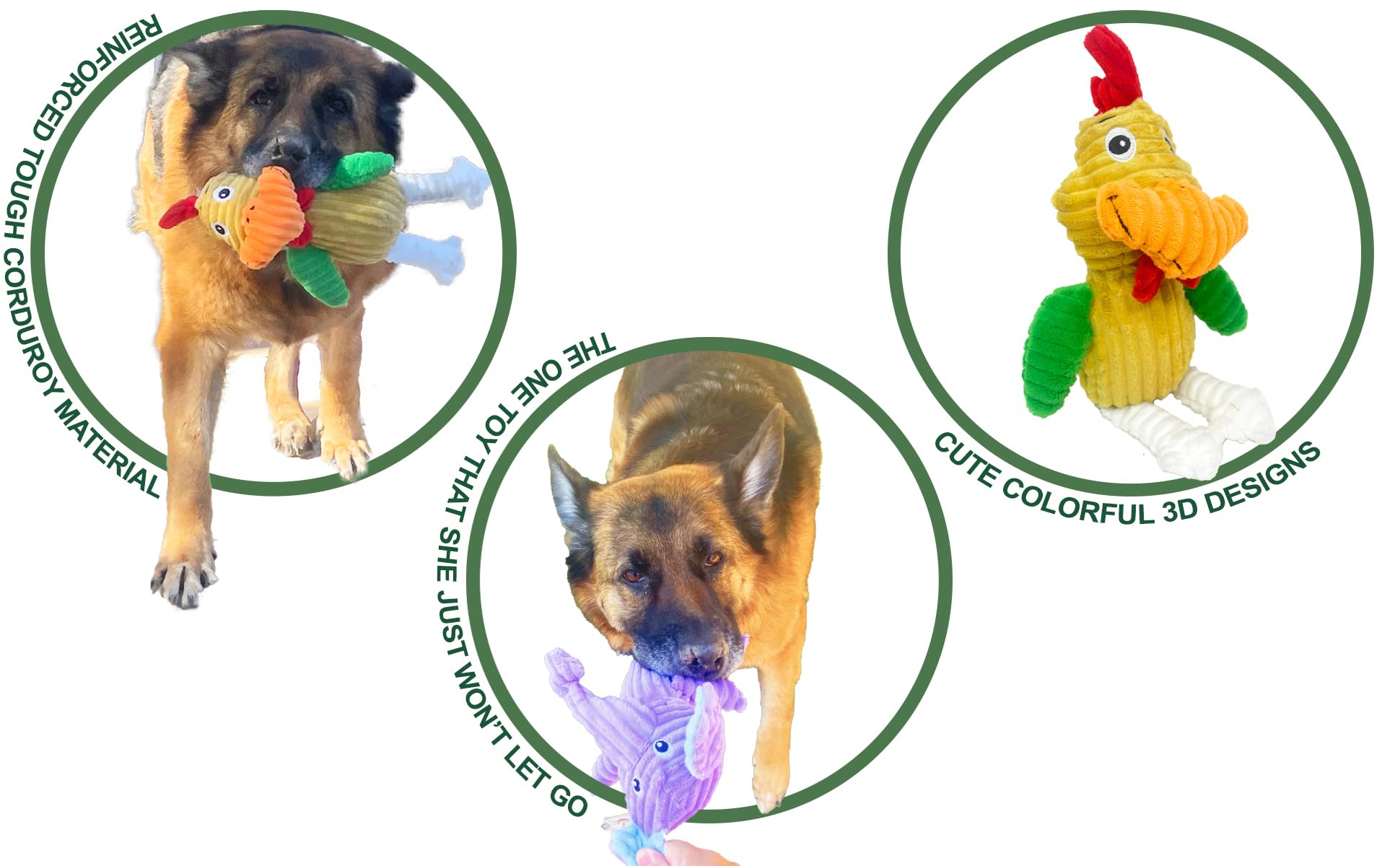 Jalousie: ideal para perros medianos y grandes durante sesiones diarias de juego