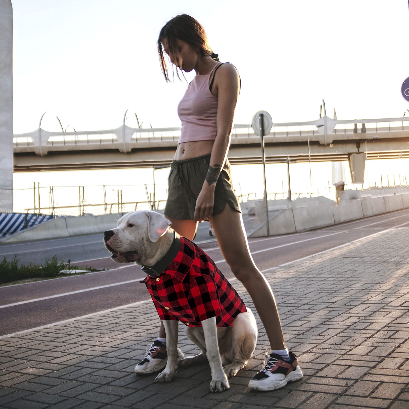 Jamktepat camisa para perro tacto algodón, suave y transpirable para uso diario.