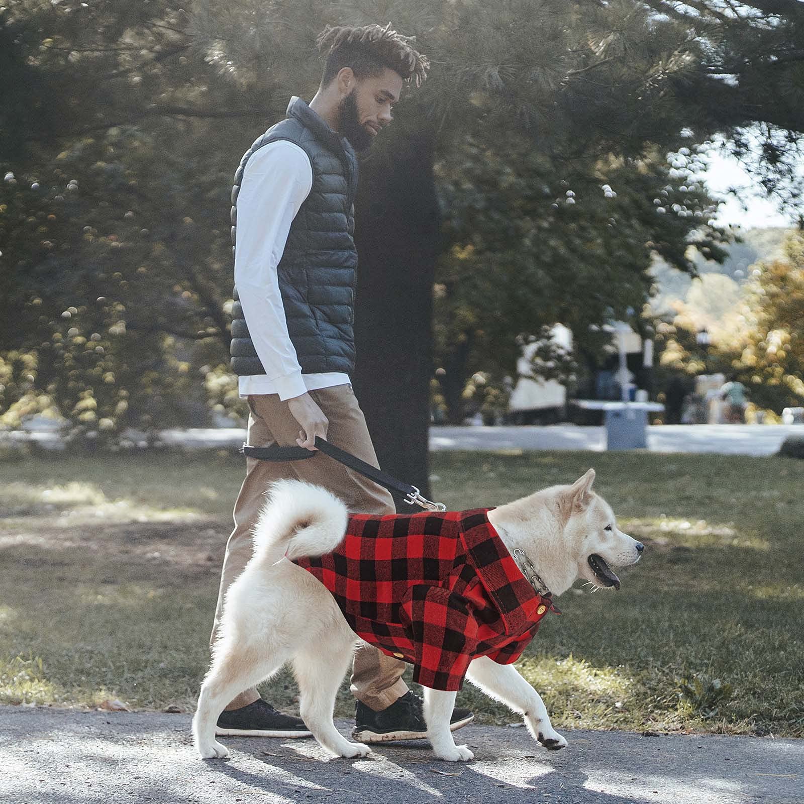 Jamktepat camisa para perro talla M, modelo práctico para perros medianos.