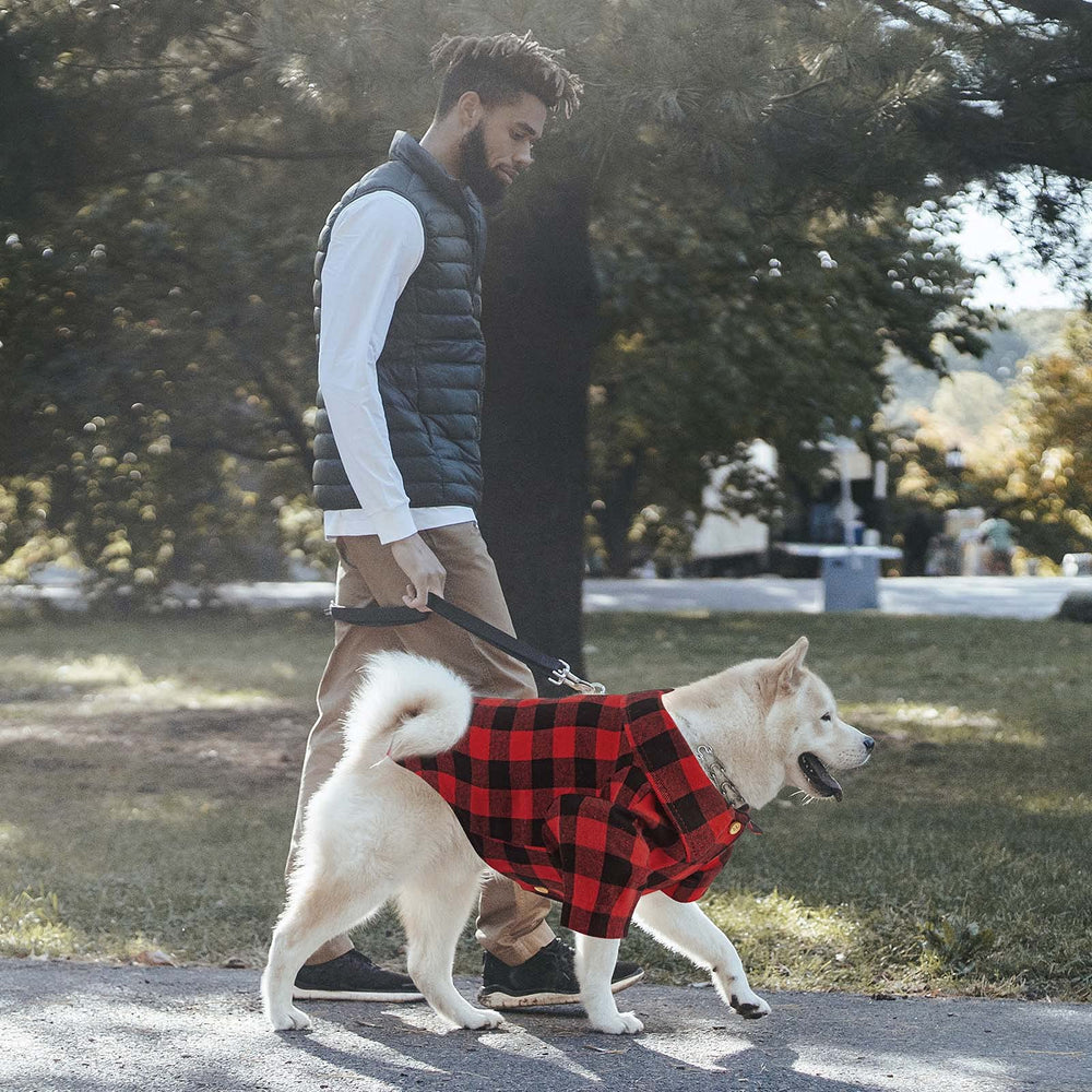 Jamktepat camisa para perro talla M, modelo práctico para perros medianos.