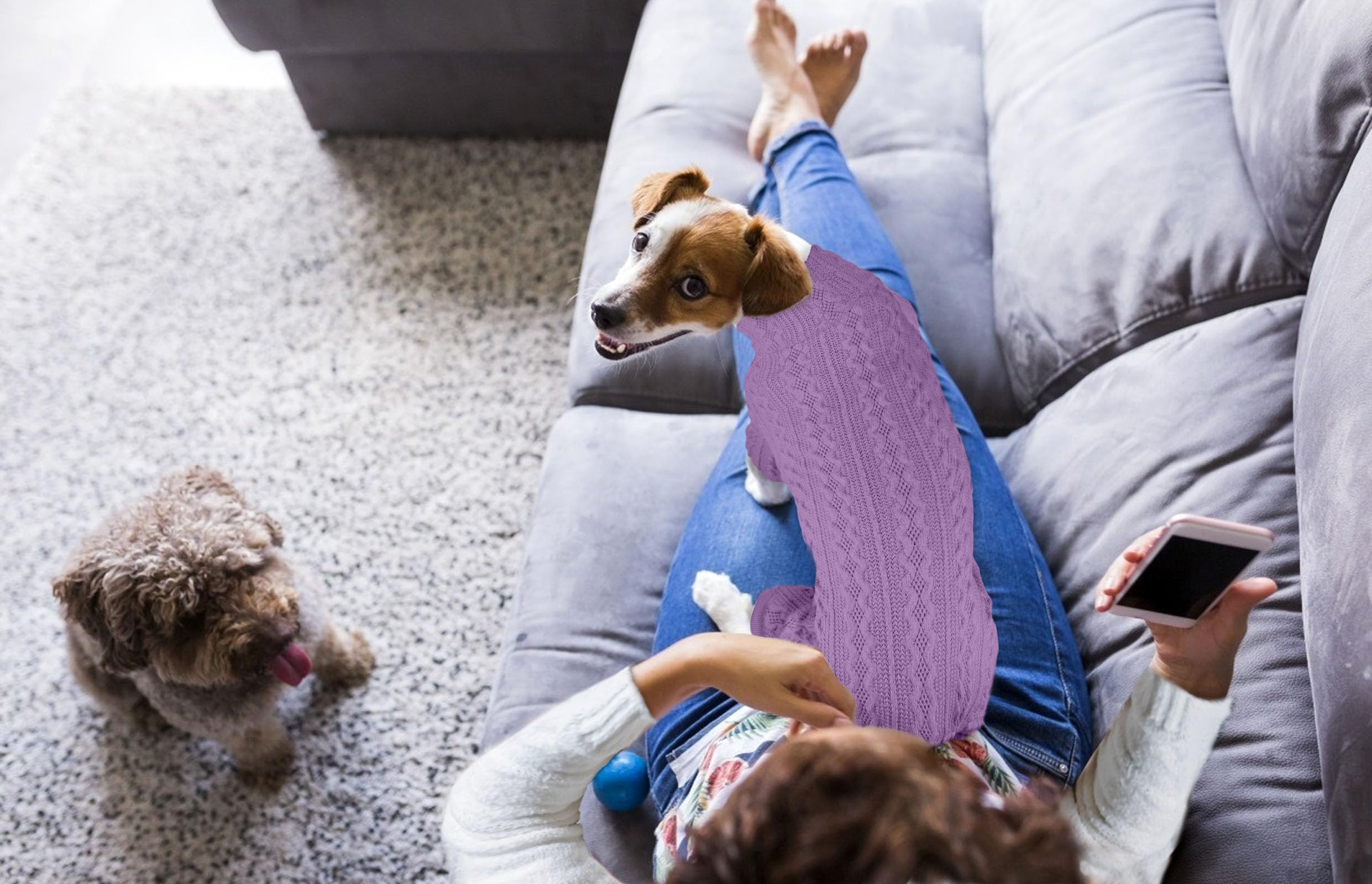 Acceso fácil Jamktepat, pon y quita rápido para perro grande.