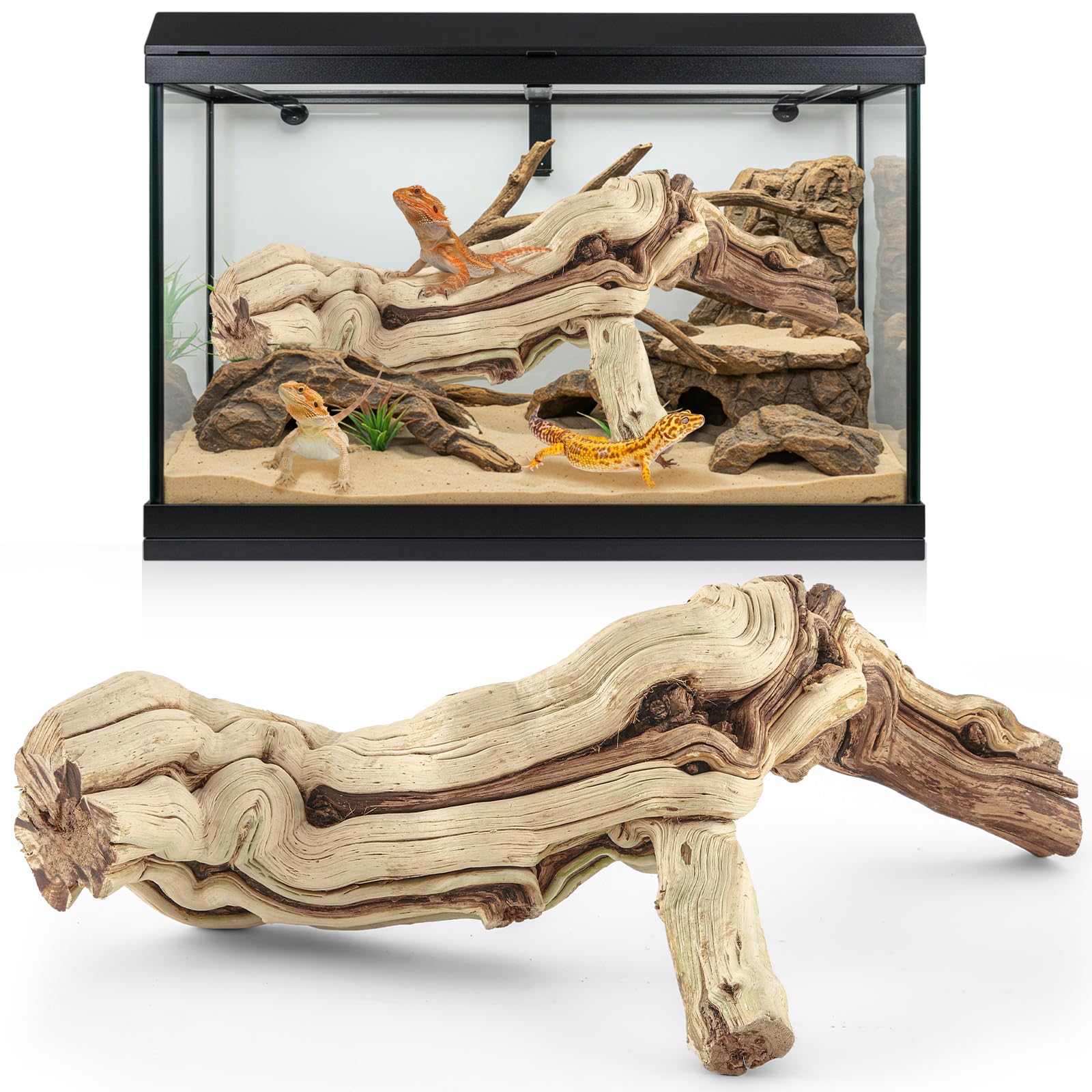 Rama Janinka de madera de vid grande para terrario, ideal para trepar.