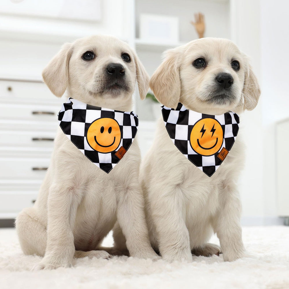 Bandana JarThenaAMCS para uso diario, paseos y sesiones de fotos