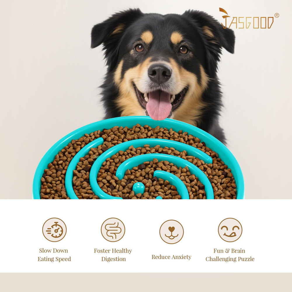 Capacidad de 3 tazas en el cuenco JASGOOD para perros medianos