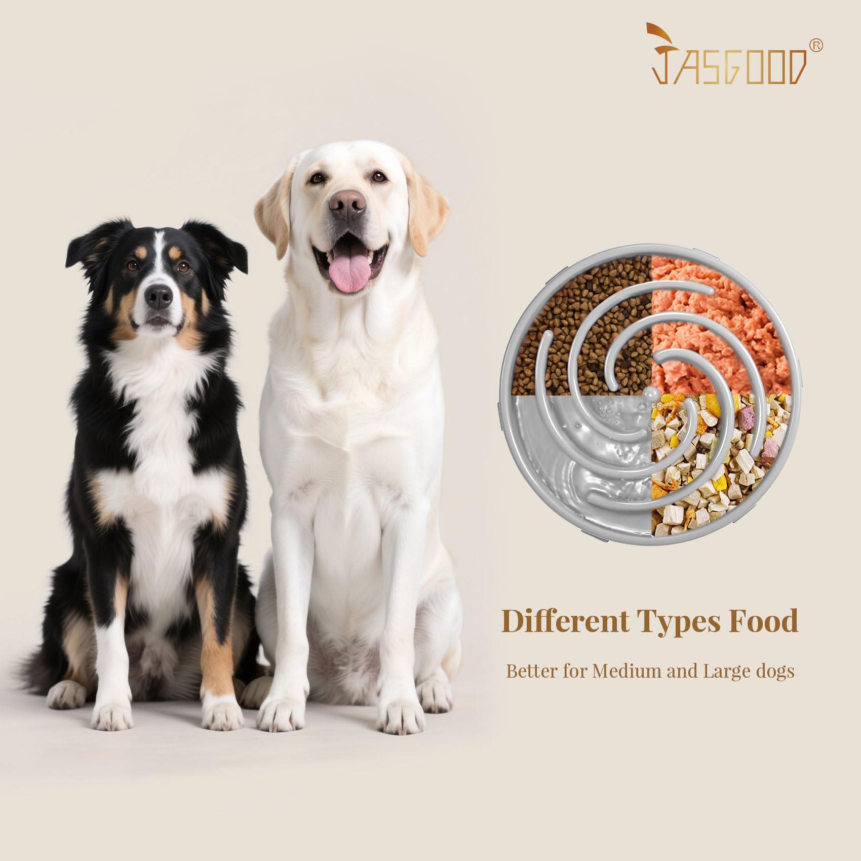 Altura de 4,5 cm del tazón lento para comidas pausadas