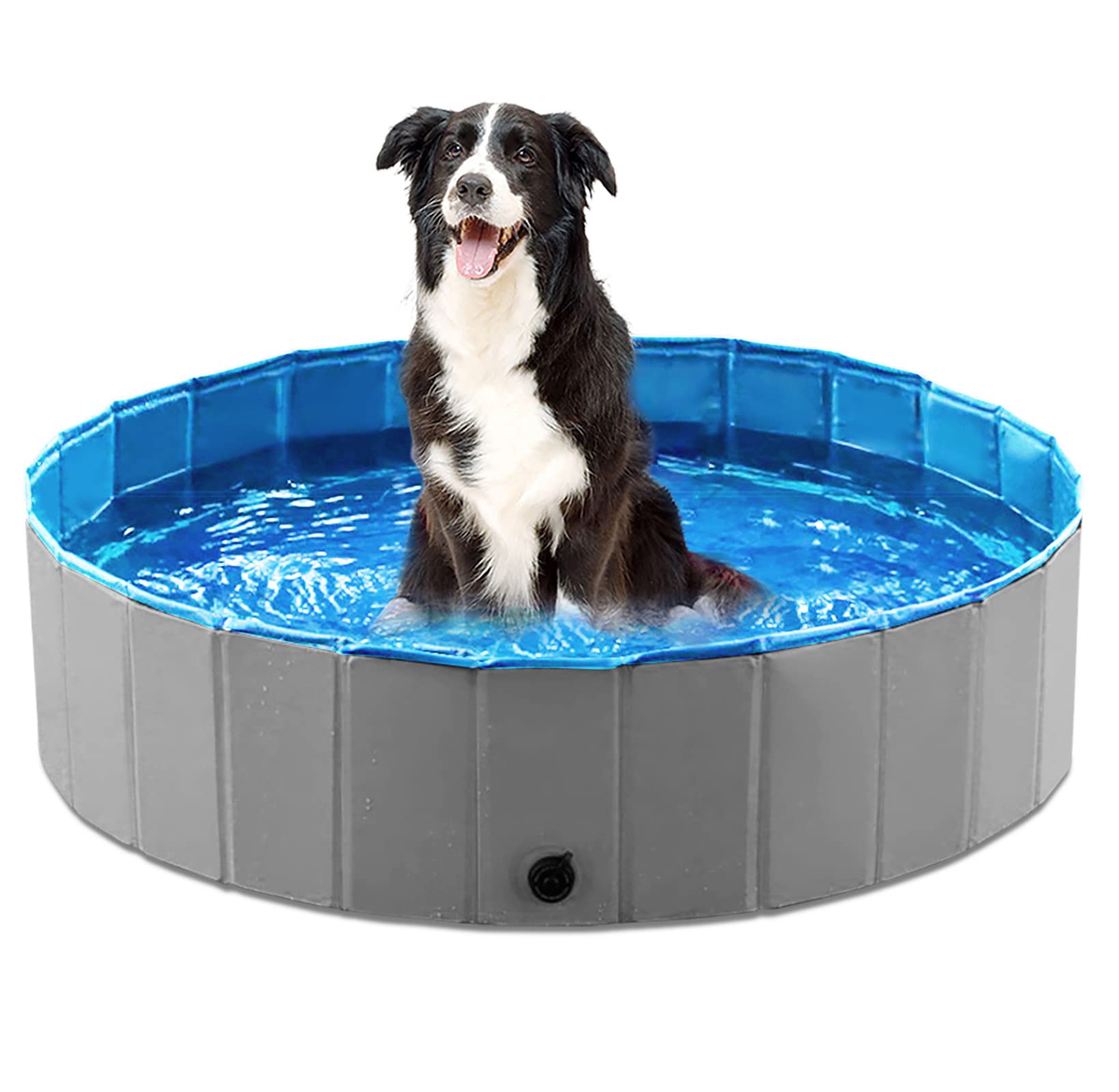 Jasonwell piscina plegable para perros gris, perro jugando en jardín, opción práctica para baño al aire libre.