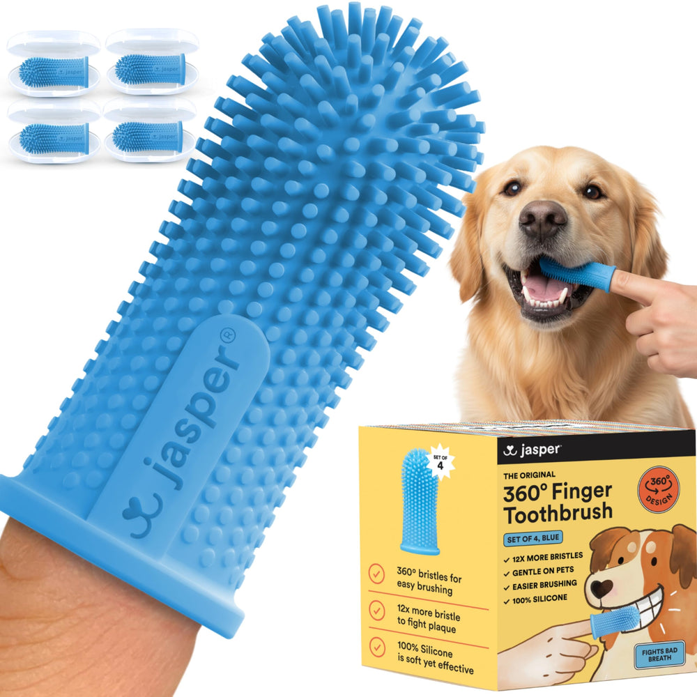 Cepillo Jasper 360 para perros, limpieza completa de dientes.