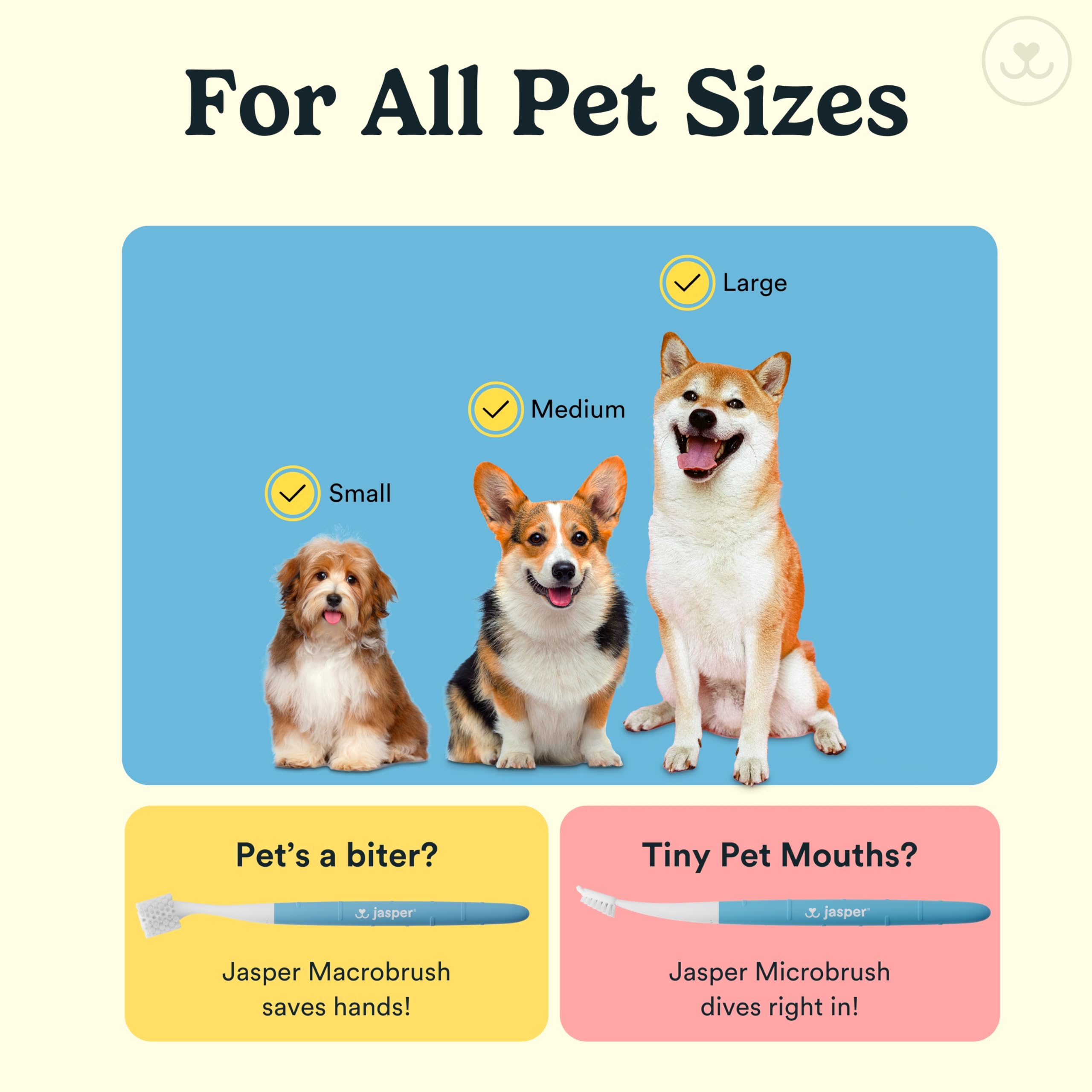 Durabilidad Jasper: kit de 6–12 meses para uso diario.