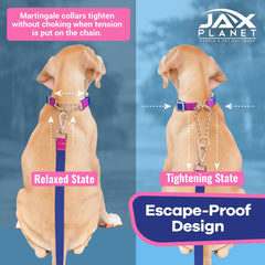 Diseño ergonómico de JAX PLANET para perros energéticos durante entrenamientos