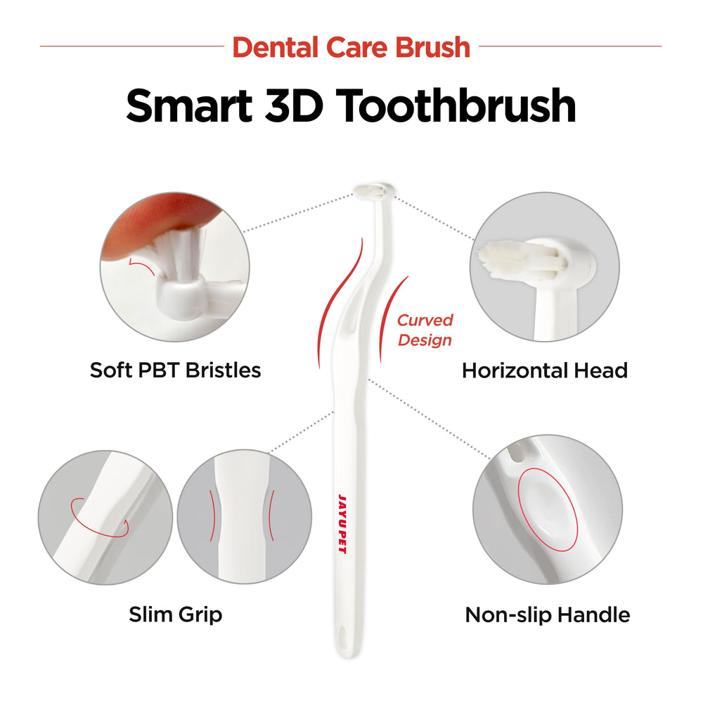 Cabezal horizontal de JAYU PET, diseño ergonómico para dientes difíciles.