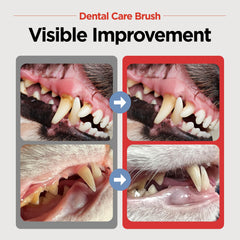 JAYU PET cepillo dental con cabeza horizontal para dientes y encías.