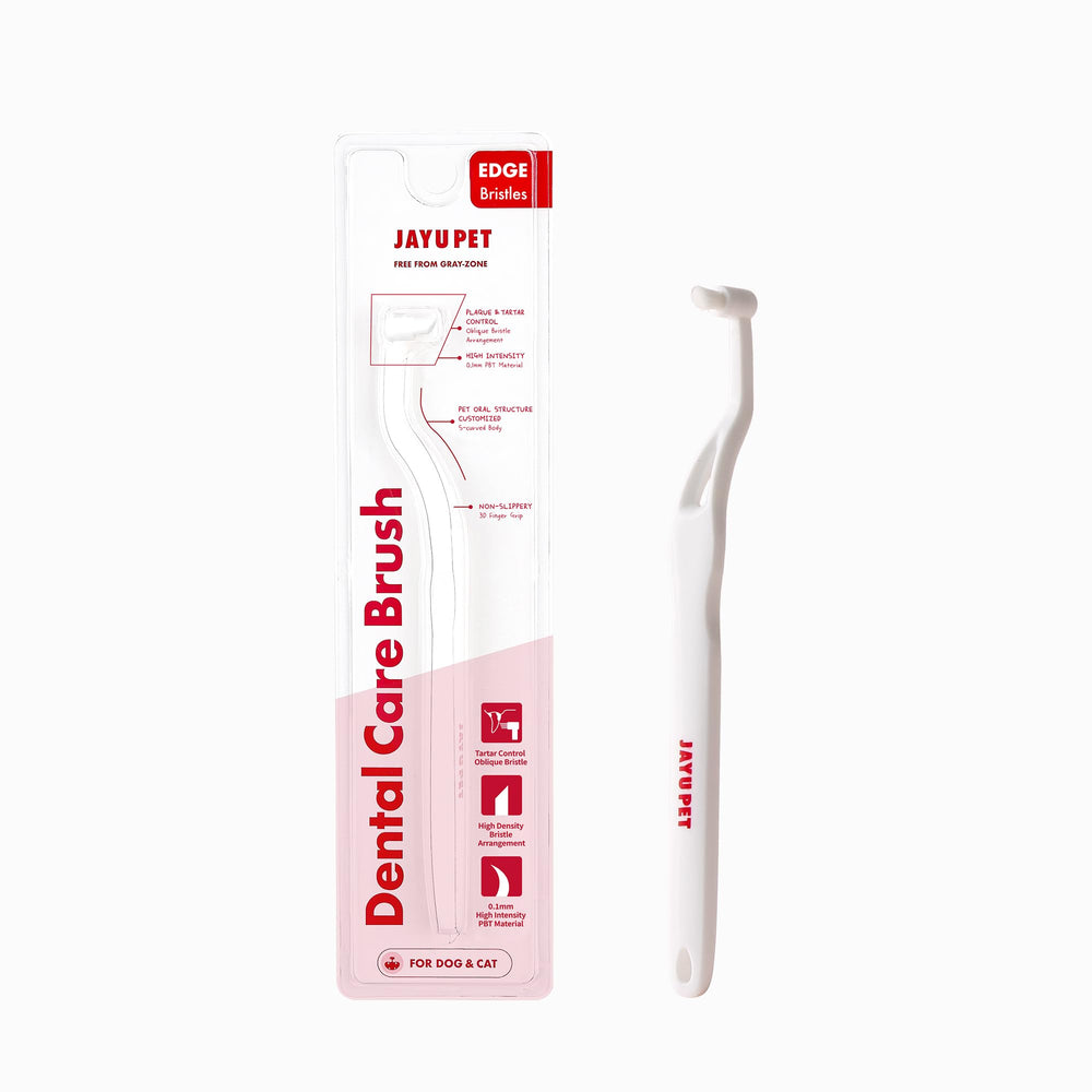 Cepillo dental JAYU PET con cabeza redonda para cuidado diario