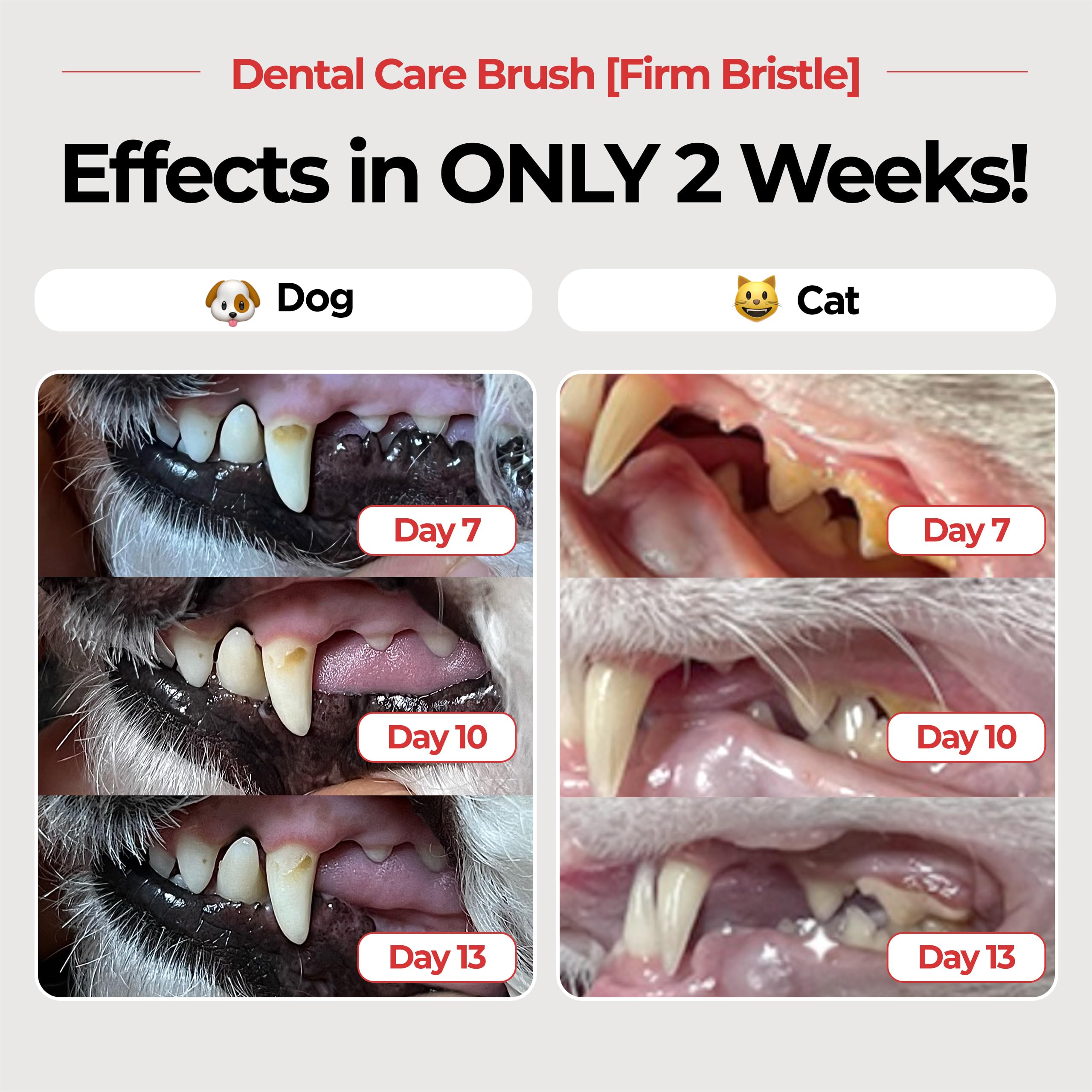 JAYU PET cepillo dental con cabezal horizontal facilita el cepillado.