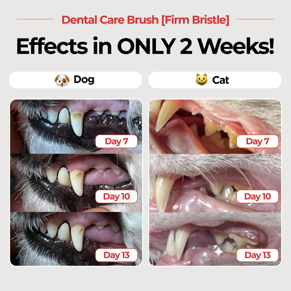 JAYU PET cepillo dental con cabezal horizontal facilita el cepillado.