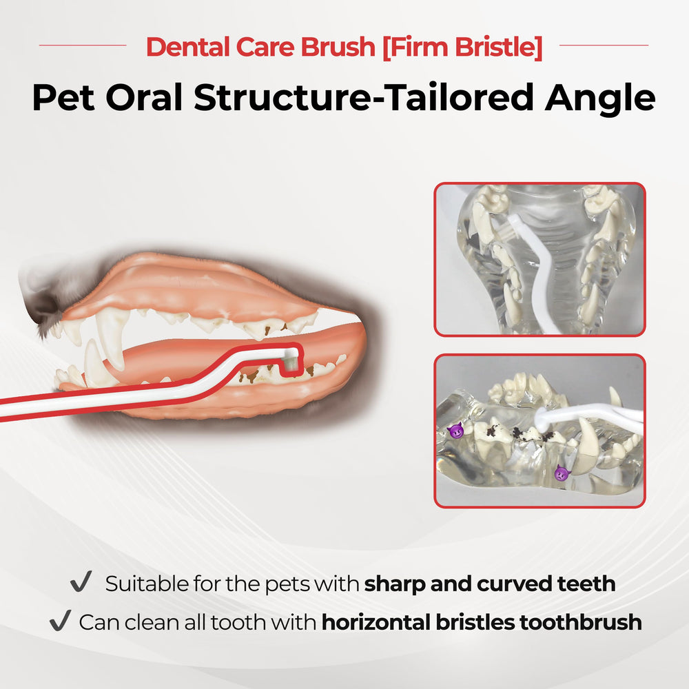 JAYU PET cepillo dental desarrollado por veterinarios para ángulo óptimo.