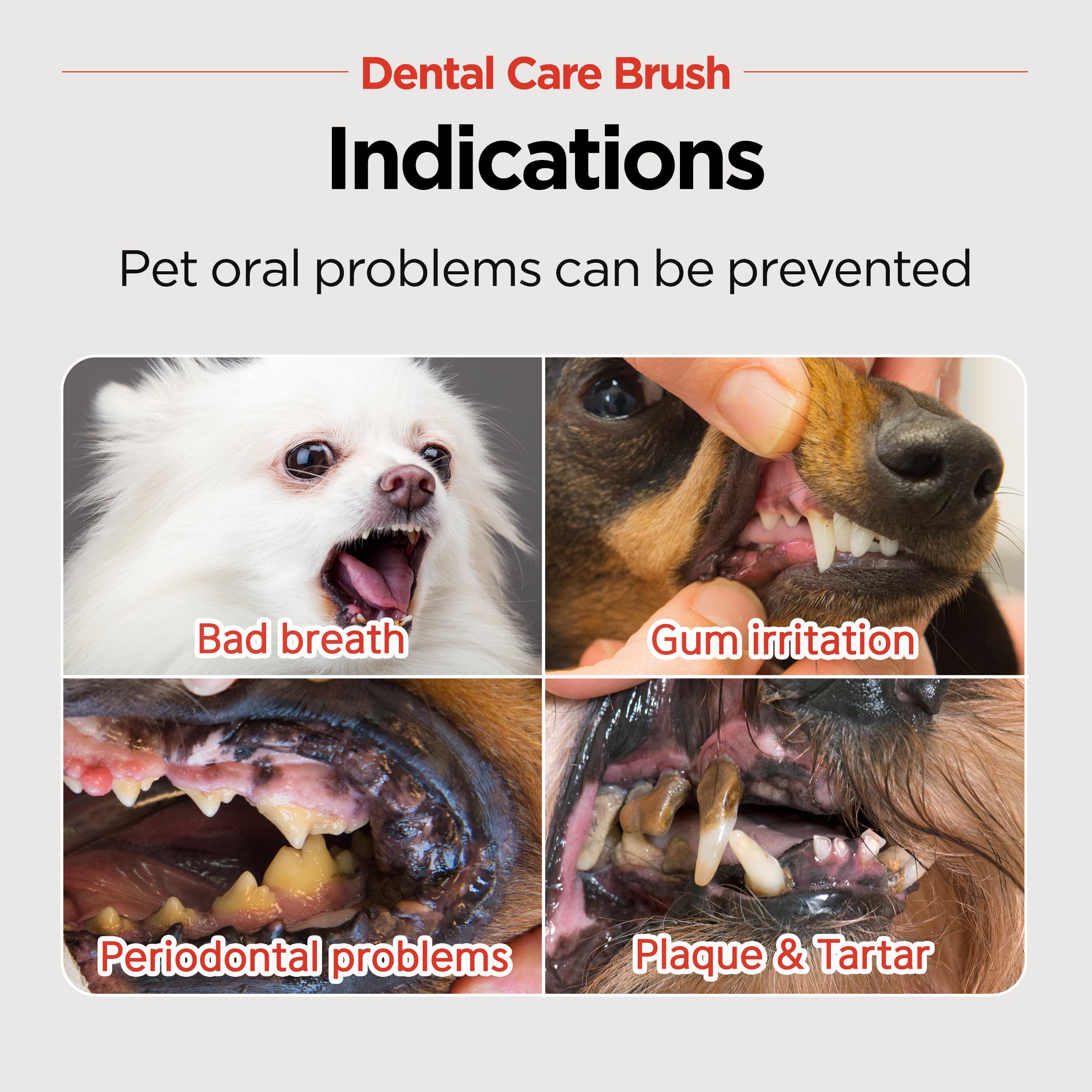 JAYU PET cepillo dental recomendado por veterinarios para mascotas.