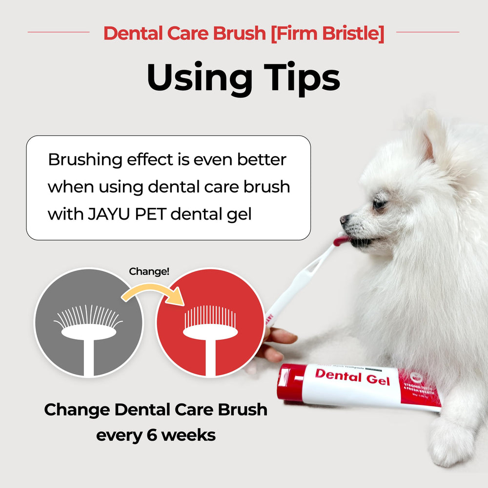 Uso con gel dental JAYU PET potencia la limpieza diaria.